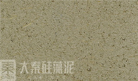 硅藻泥硅藻聚落