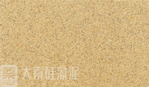 硅藻泥硅藻聚落