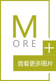 更多图片