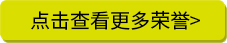 点击查看更多荣誉>