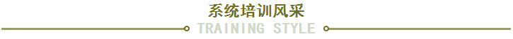 系统培训